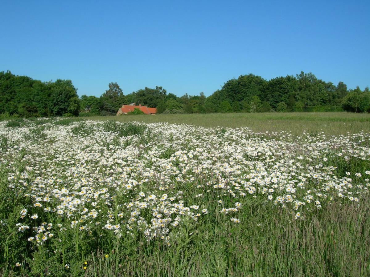 Heath Farm Holiday Cottages Swerford Екстериор снимка